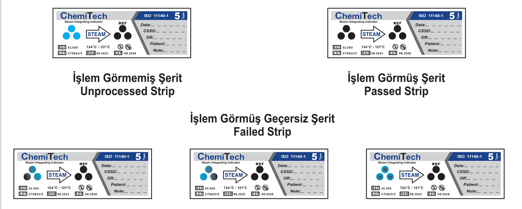 Steam Type 5 Indicators – Chemitech
